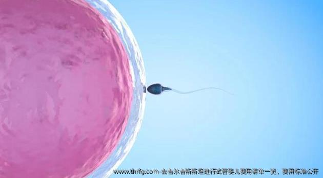 去吉尔吉斯斯坦进行试管婴儿费用清单一览，费用标准公开