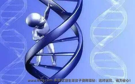 泰国试管生育孩子费用揭秘：选对医院，省力省心！