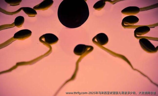 2025年马来西亚试管婴儿需要多少钱，大致费用总结