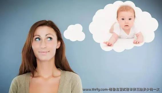 格鲁吉亚试管单卵三胎多少钱一次
