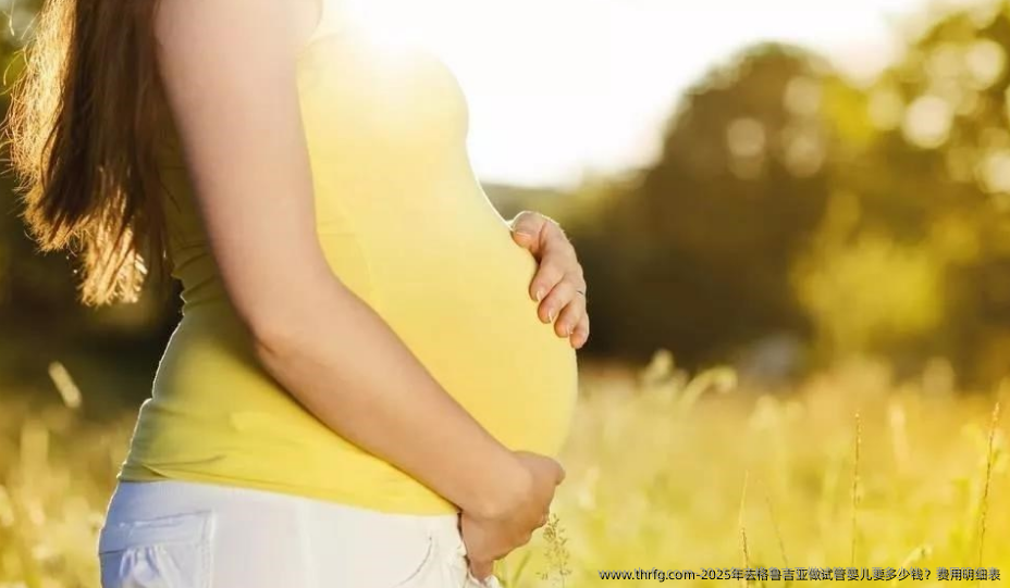 2025年去格鲁吉亚做试管婴儿要多少钱？费用明细表