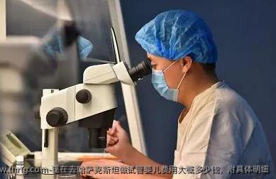 现在去哈萨克斯坦做试管婴儿费用大概多少钱，附具体明细