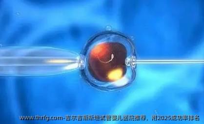 吉尔吉斯斯坦试管婴儿医院推荐，附2025成功率排名