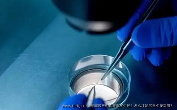 泰国做三代试管要多少钱？怎么才能尽量少花费用？