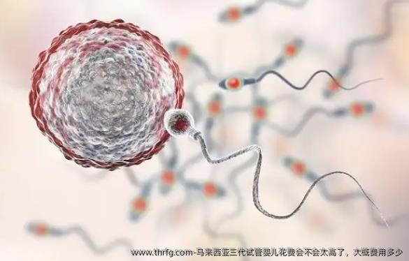 马来西亚三代试管婴儿花费会不会太高了，大概费用多少