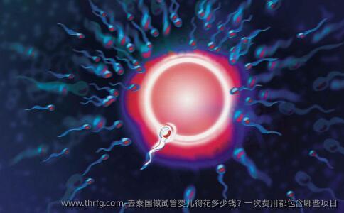 去泰国做试管婴儿得花多少钱？一次费用都包含哪些项目