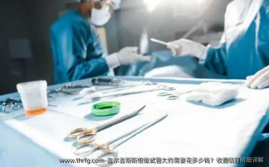吉尔吉斯斯坦做试管大约需要花多少钱？收费项目明细详解