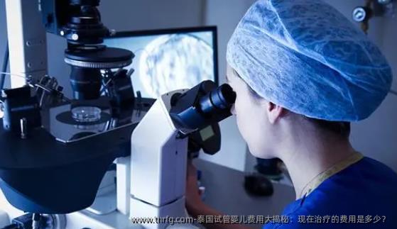 泰国试管婴儿费用大揭秘：现在治疗的费用是多少？