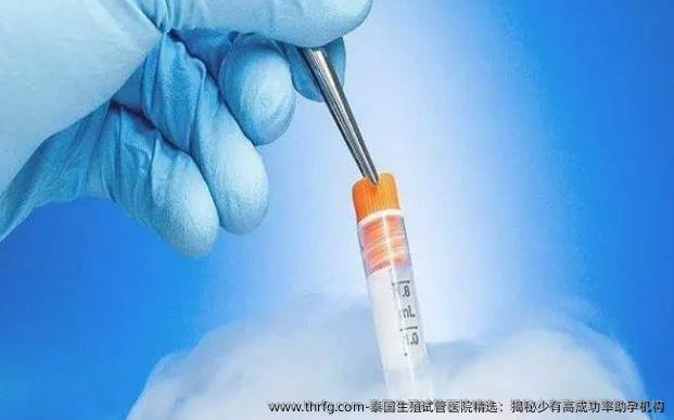 泰国生殖试管医院精选：揭秘少有高成功率助孕机构