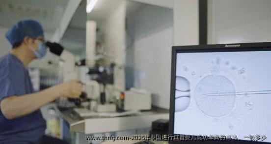 2025年泰国进行试管婴儿成功率真的高吗，一般多少