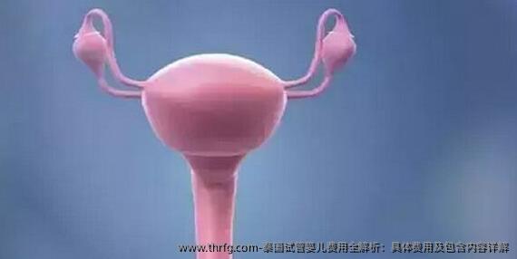 泰国试管婴儿费用全解析：具体费用及包含内容详解