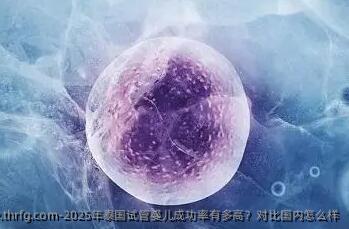 2025年泰国试管婴儿成功率有多高？对比国内怎么样