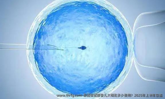 泰国做试管婴儿大概花多少费用？2025年上半年总结