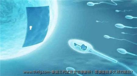 泰国三代试管成功率解析！需要提前多久预约医院？