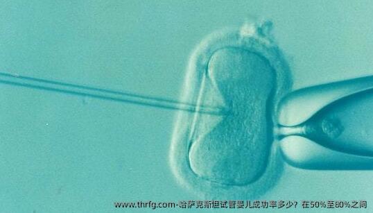 哈萨克斯坦试管婴儿成功率多少？在50%至80%之间