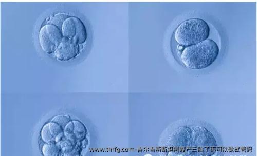 吉尔吉斯斯坦刨腹产三胎了还可以做试管吗？