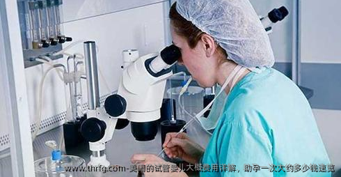美国的试管婴儿大概费用详解，助孕一次大约多少钱速览