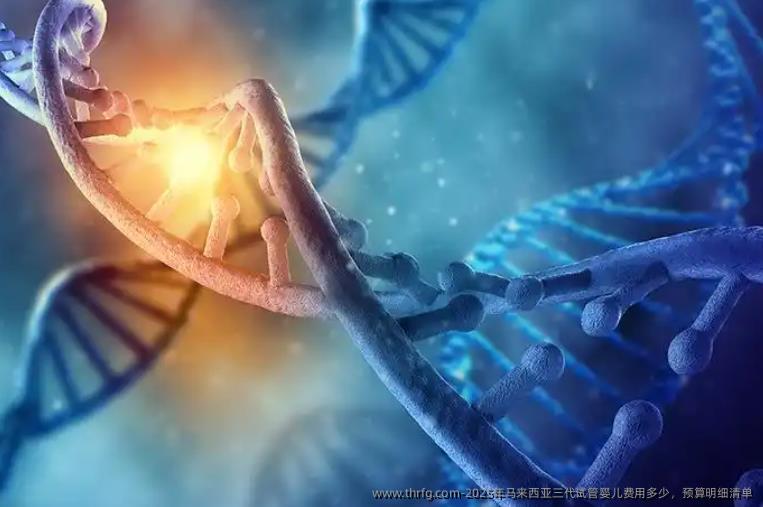 2025年马来西亚三代试管婴儿费用多少，预算明细清单