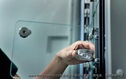 2025年吉尔吉斯斯坦试管婴儿费用表，费用明细一览