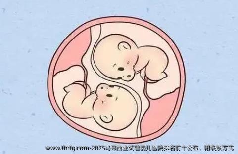 2025马来西亚试管婴儿医院排名前十公布，附联系方式