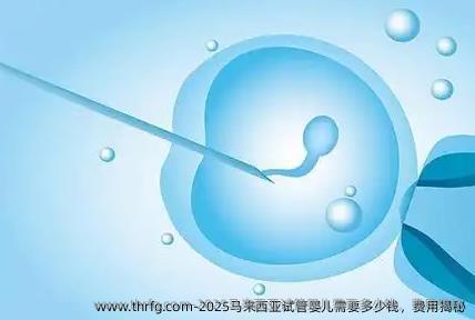 2025马来西亚试管婴儿需要多少钱，费用揭秘