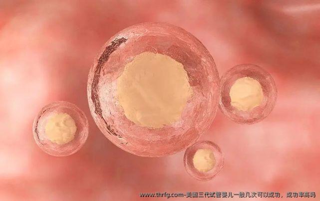 美国三代试管婴儿一般几次可以成功，成功率高吗