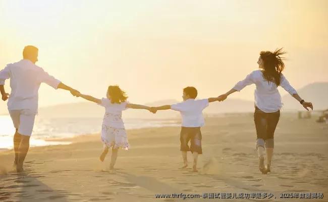 泰国试管婴儿成功率是多少，2025年数据揭秘