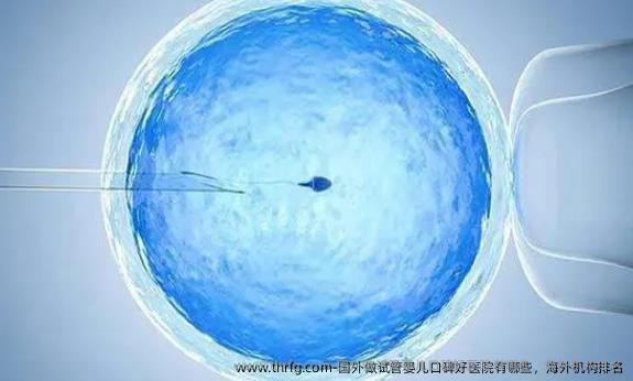 国外做试管婴儿口碑好医院有哪些，海外机构排名
