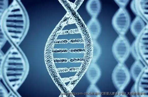 2025年海外试管婴儿要多少钱？大概费用参考