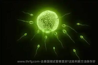 去泰国做试管哪里好?这些判断方法保存好