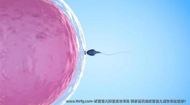 试管婴儿那里成功率高 哪家医院做试管婴儿成功率比较好？