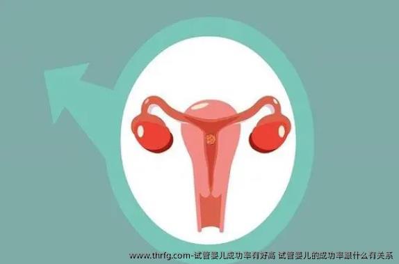 试管婴儿成功率有好高？试管婴儿的成功率跟什么有关系