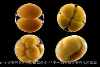 试管婴儿的成功率是多少 25岁一30岁做试管婴儿成功率