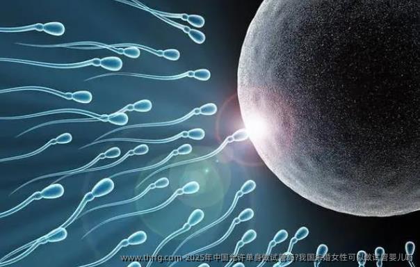 2025年国内允许单身做试管吗?我国未婚女性可以做试管婴儿吗
