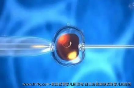 泰国试管婴儿的流程 自己去泰国做试管婴儿的经历