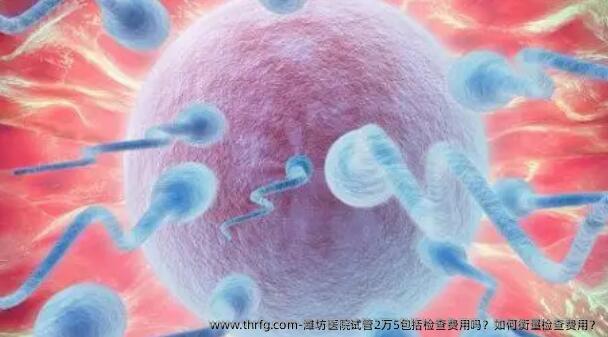 潍坊医院试管2万5包括检查费用吗？如何衡量检查费用？