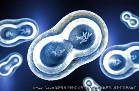 试管婴儿打夜针是自己打吗？专家解读试管婴儿夜针打哪里怎么打