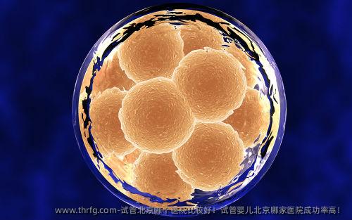 试管北京哪个医院比较好！试管婴儿北京哪家医院成功率高！