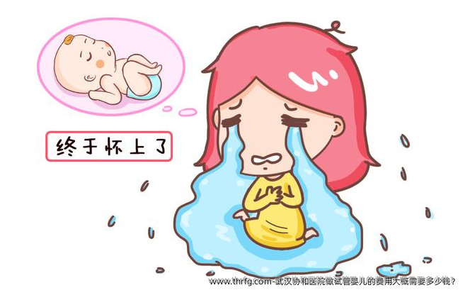 武汉协和医院做试管婴儿的费用大概需要多少钱？