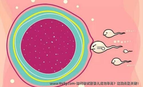 如何做试管婴儿成功率高？这四点是关键！
