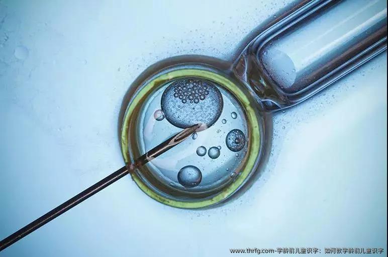学龄前儿童识字：如何教学龄前儿童识字