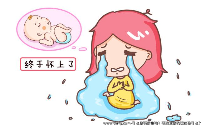 什么是辅助生殖？辅助生殖的过程是什么？