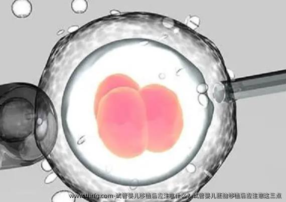 试管婴儿移植后应注意什么？试管婴儿胚胎移植后应注意这三点