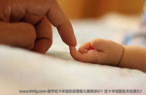 西宁红十字医院试管婴儿费用多少？红十字试管技术排第几？