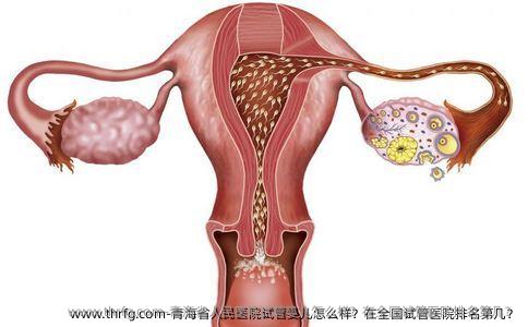 青海省人民医院试管婴儿怎么样？在国内试管医院排名第几？