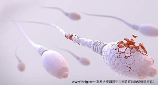复旦大学附属中山医院可以做试管婴儿吗？