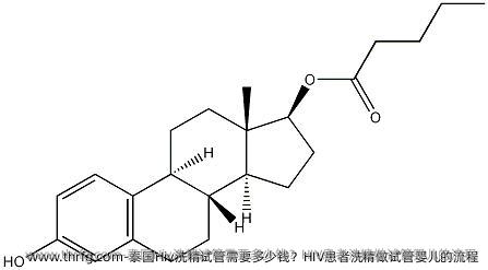 泰国Hiv洗精试管需要多少钱？HIV患者洗精做试管婴儿的流程