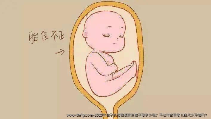 2025年在子长市做试管生孩子要多少钱？子长市试管婴儿技术水平如何？