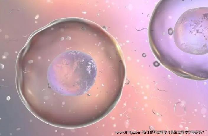 浙江杭州试管婴儿医院试管成功率高吗？
