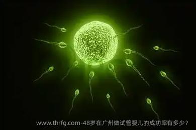 48岁在广州做试管婴儿的成功率有多少？